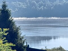 20240512_072449.jpg