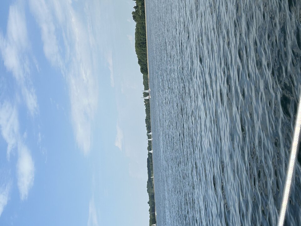 IMG_4764.jpeg - MagdMar7
