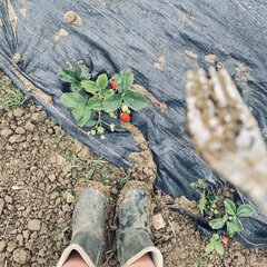 IMG_1851.jpeg