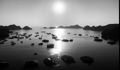 IMG_4432.jpeg