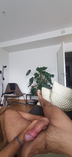 IMG_20240525_100735.jpg