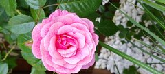 IMG_20240524_083551991.jpg
