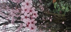 IMG_20240402_174521107.jpg
