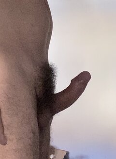IMG_2166.jpeg