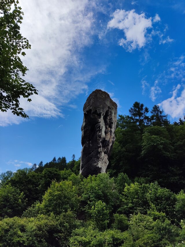 bezpruderyjny50