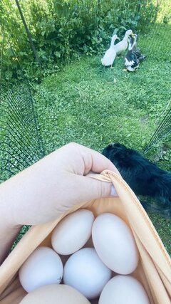IMG_1895.jpeg