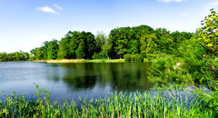 DSC08501.jpg