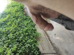 IMG_20240528_151537.jpg