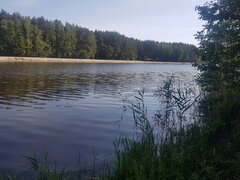 20240528_083026.jpg