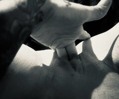 IMG_8026.jpeg