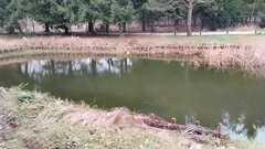 IMG_20231219_075453.jpg
