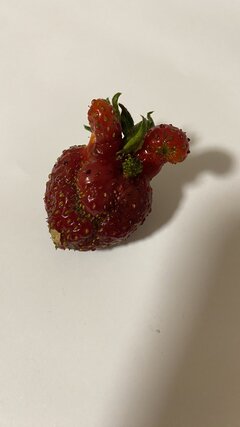 IMG_1914.jpeg