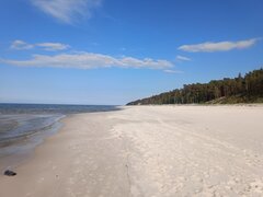 IMG_20240529_174144.jpg