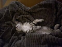 IMG_1523.jpeg