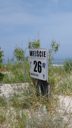 IMG_20240531_104956.jpg