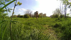 20230505_164618A.mp4_snapshot_00.31.231.jpg