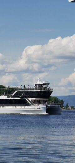 IMG_20240531_115958.jpg