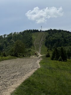 IMG_1729.JPEG