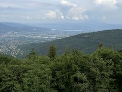 IMG_1744.JPEG