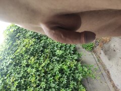 IMG_20240601_105134.jpg