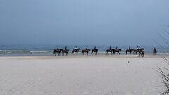IMG_20240601_110933.jpg