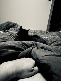😻