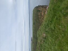 IMG_2034.jpeg