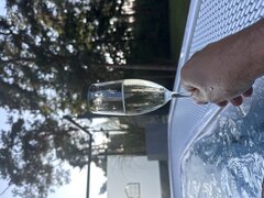IMG_6224.jpeg