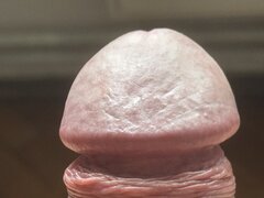 IMG_1304.jpeg
