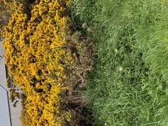 IMG_1991.jpeg