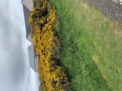 IMG_1990.jpeg