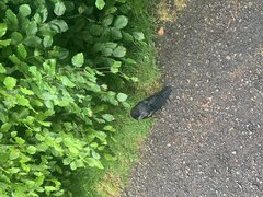 IMG_2008.jpeg