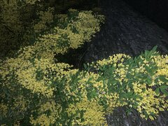 IMG_2009.jpeg
