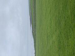 IMG_1988.jpeg