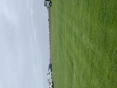 IMG_1989.jpeg
