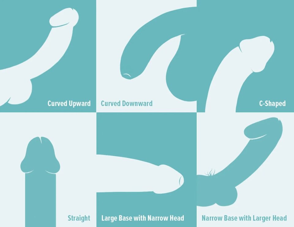 257877-There_Are_20_Different_Penis_Types-and-They_are_All_Norma - ApolloBlonde