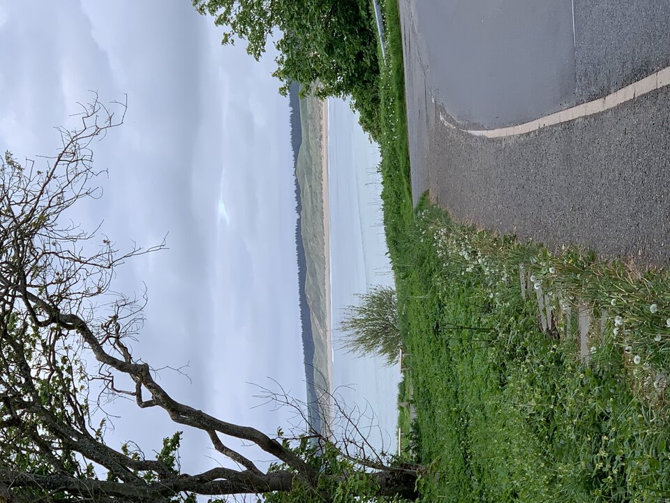 IMG_2003.jpeg - tom745