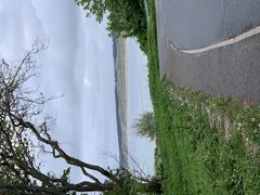 IMG_2003.jpeg