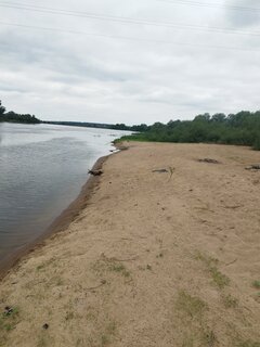 IMG_20240604_120119.jpg