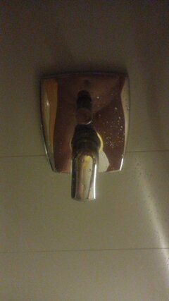 IMG-20231105-WA0004.jpg