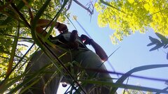 IMG_20240605_150327.jpg