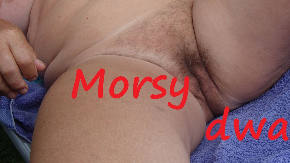 Cipka. - Morsy_dwa