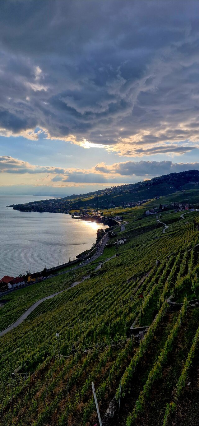Evian1245890