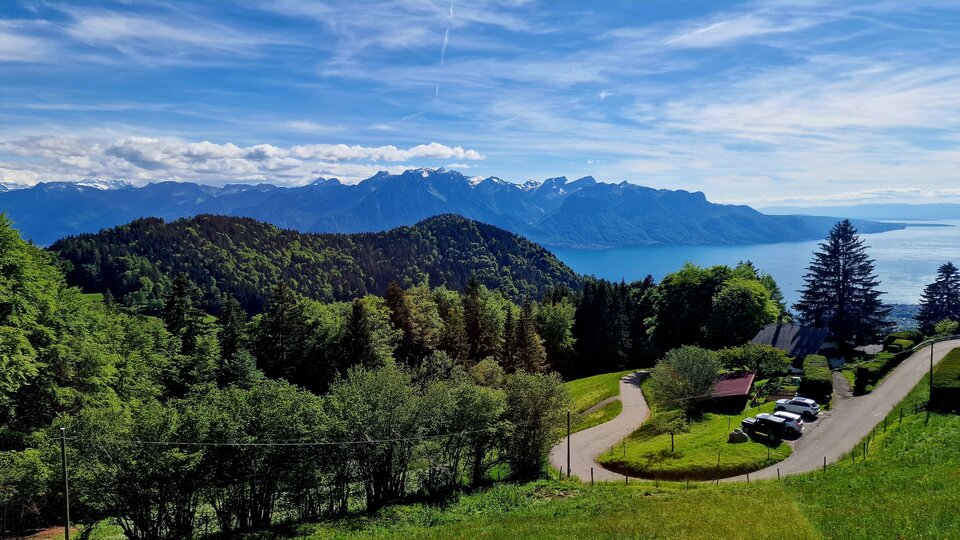 1000004519.jpg - Evian1245890