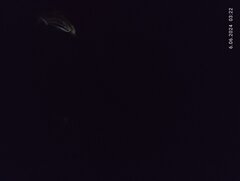 1717636826380..jpg