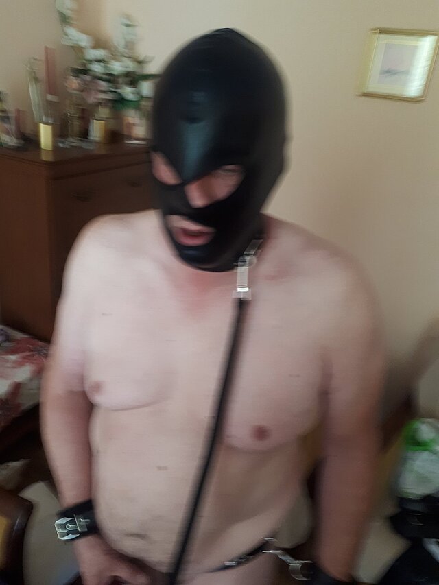 Stefan26823