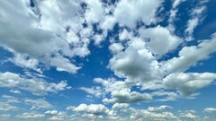 IMG_6782.jpeg