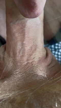 IMG_7953.jpeg