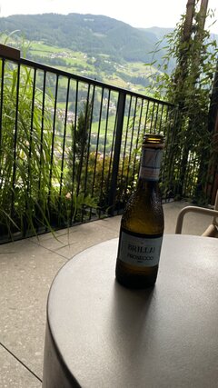 IMG_2340.jpeg