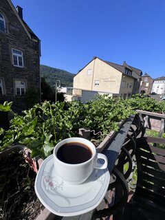 IMG_6223.jpeg